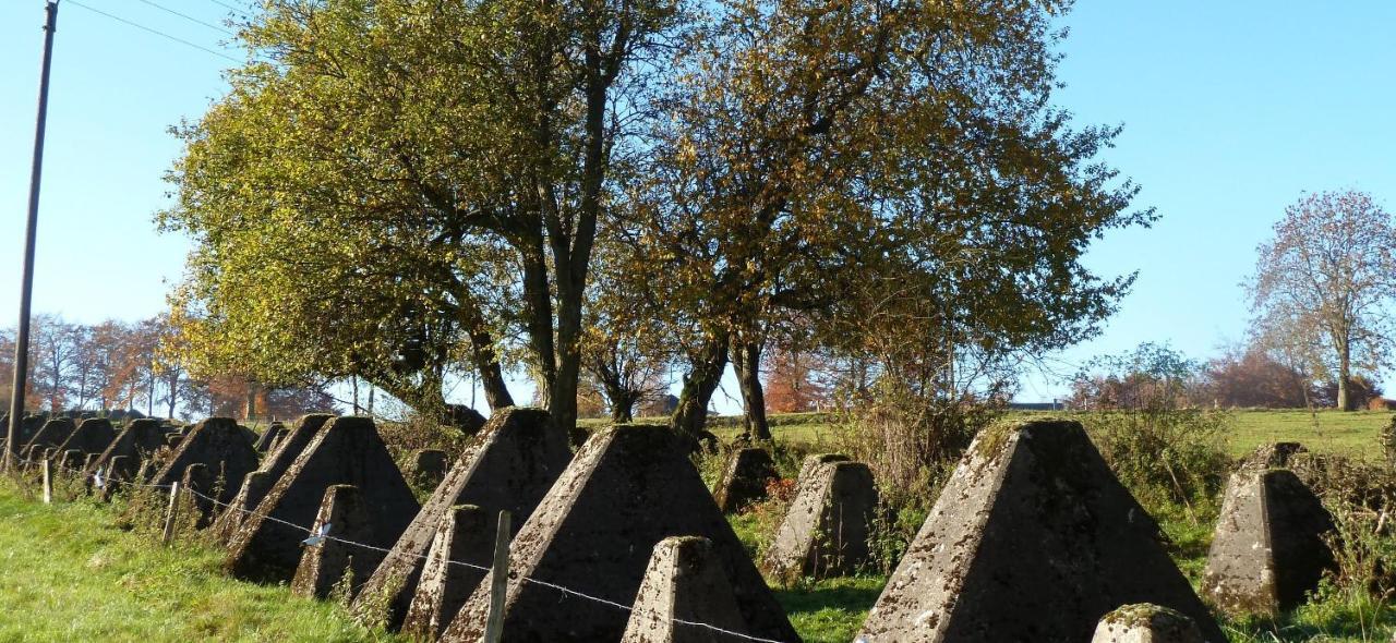 Fewo Eifel Eichen Nideggen Exteriör bild